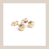 King Protea Pod Studs - 9ct Yellow Gold