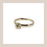 King Protea Pod Ring - 9ct Yellow Gold