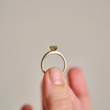 A close-up of a gold Botanica Petite Protea ring held between two fingers against a soft, light beige background.