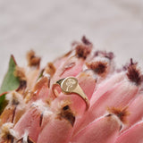 King Protea Wild Flower Signet Ring 9ct Yellow Gold