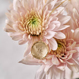 March Lily Wild Flower Necklace 9ct Yellow Gold