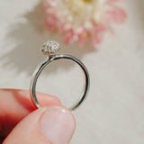 Protea Pincushion inspired ring manufactured in sterling silver