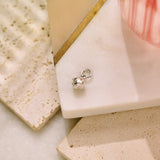 King Protea Pod Charm - Sterling Silver