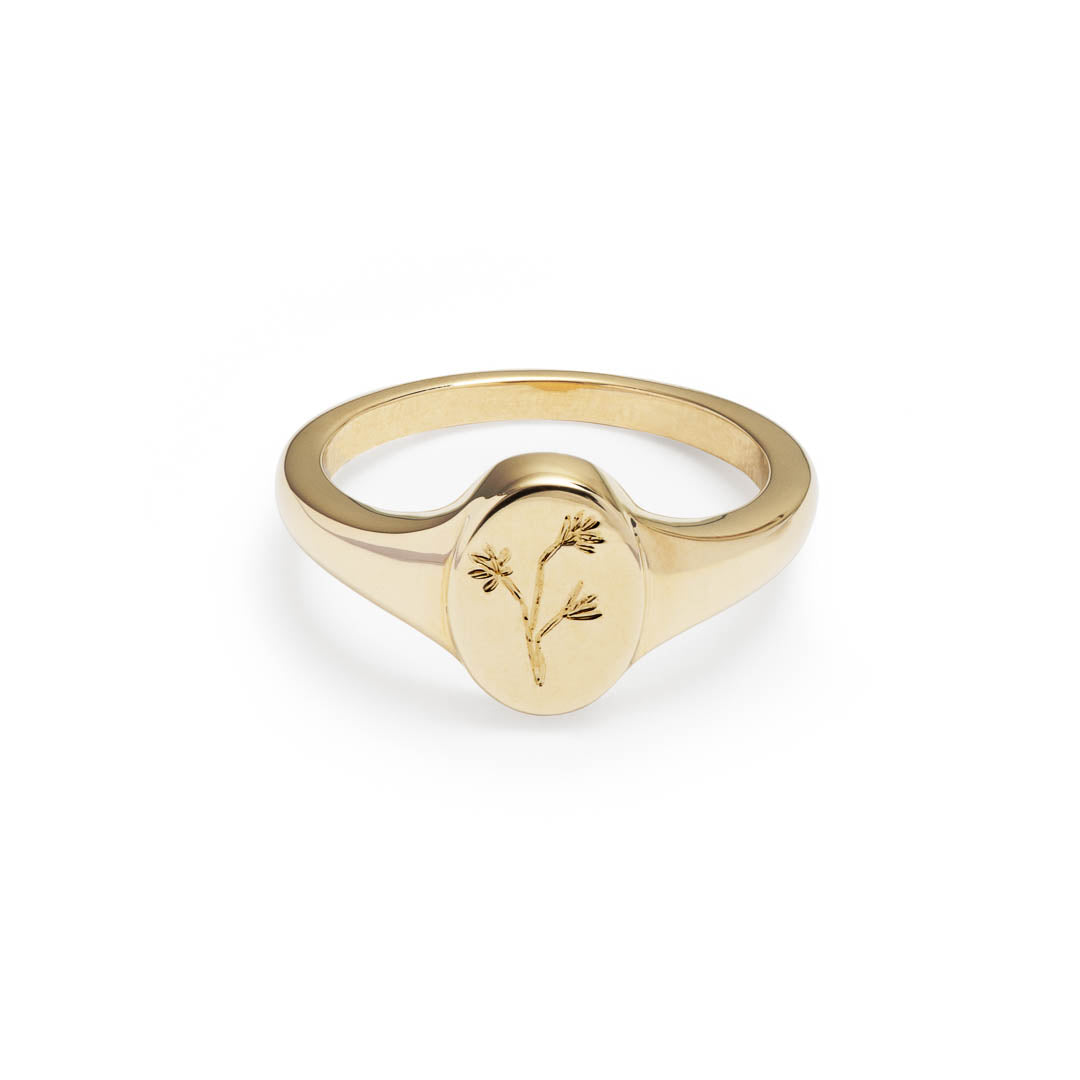 Yellow gold signet ring with a hand engraved Watsonia Wildflower