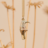 Southern double-collared Sunbird Yellow Gold