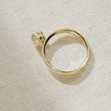 King Protea Pod Ring - 9ct Yellow Gold