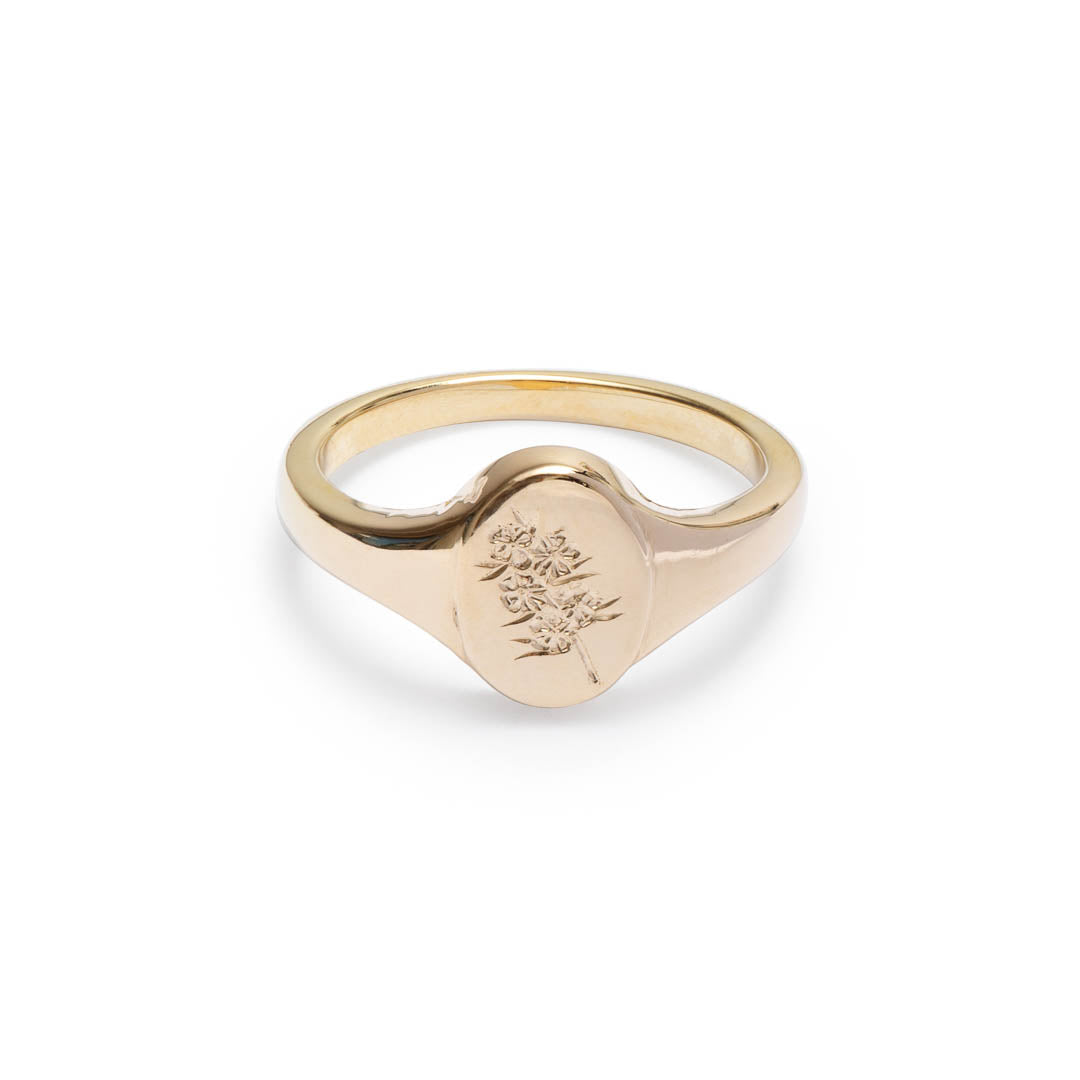 Yellow Gold signet ring with a hand engraved Confetti Bush Wildflower