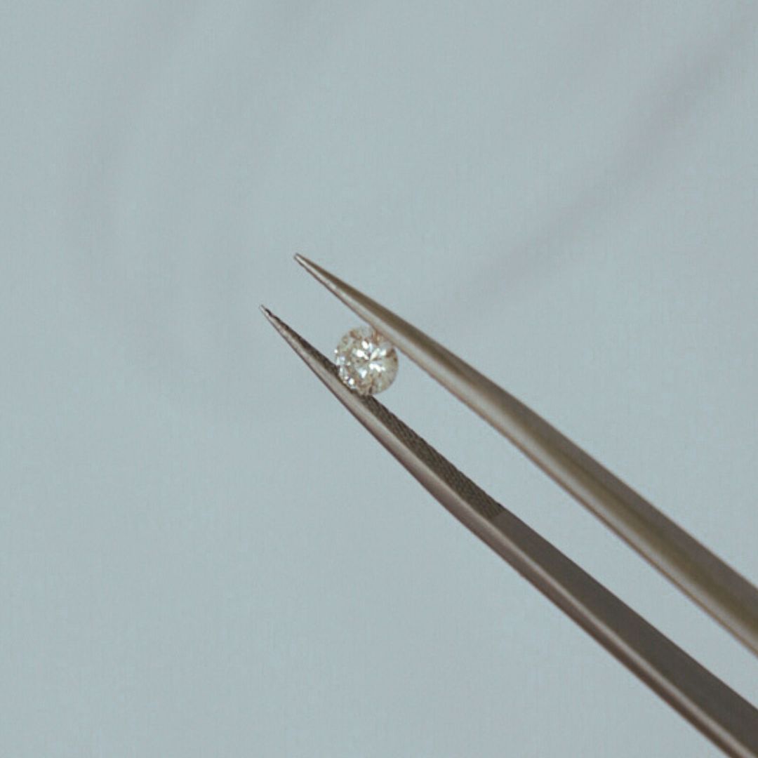 Natural South African Diamond Protea Ring