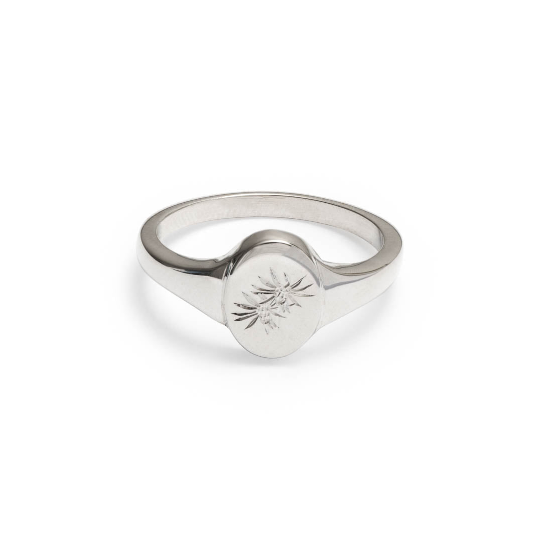 Silver Signet Ring with a hand engraved Felicia Filifolia Wildflower