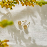 Protea Pincushion Studs - 9ct Yellow Gold