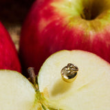 Apple Charm - 9ct Yellow Gold