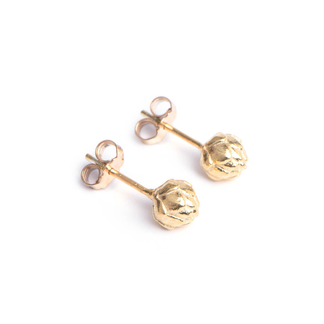 Yellow gold King Protea Pod inspired stud earrings.
