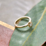 Gold ring with a diamond on a green leaf