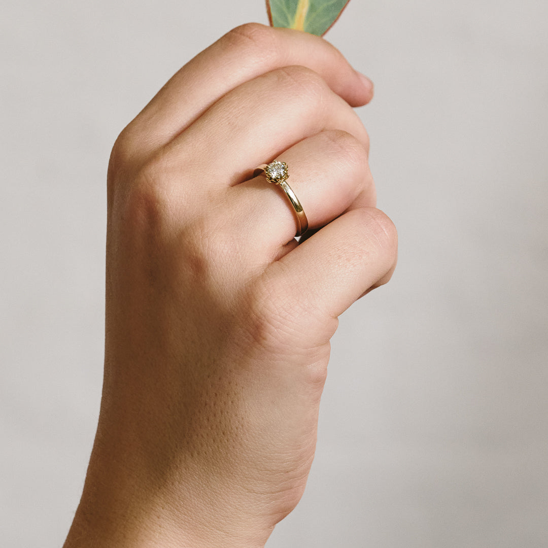 Hand holding a green leaf with a gold ring on a neutral background