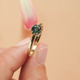 A round green sapphire set in Botanica's iconic Protea ring  - manufactured in 9ct yellow gold