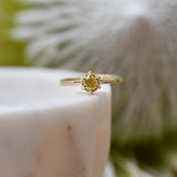 A round yellow "salt and pepper" diamond set in Botanica's iconic Protea ring manufactured in 9ct yellow gold