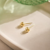 King Protea Pod Studs - 9ct Yellow Gold
