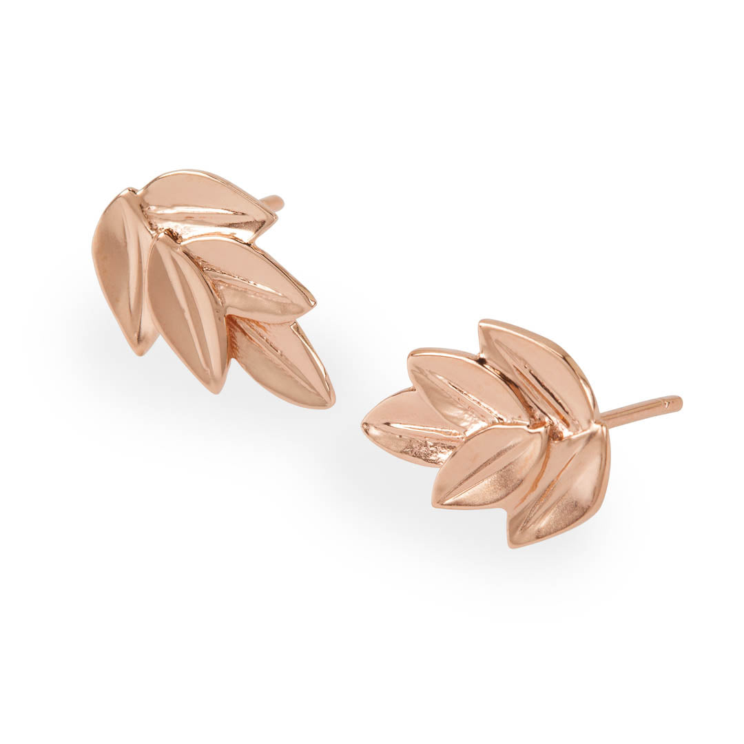 Rose Gold Five Leaf Acacia Stud Earrings