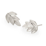 Five Leaf Acacia sterling silver stud earrings