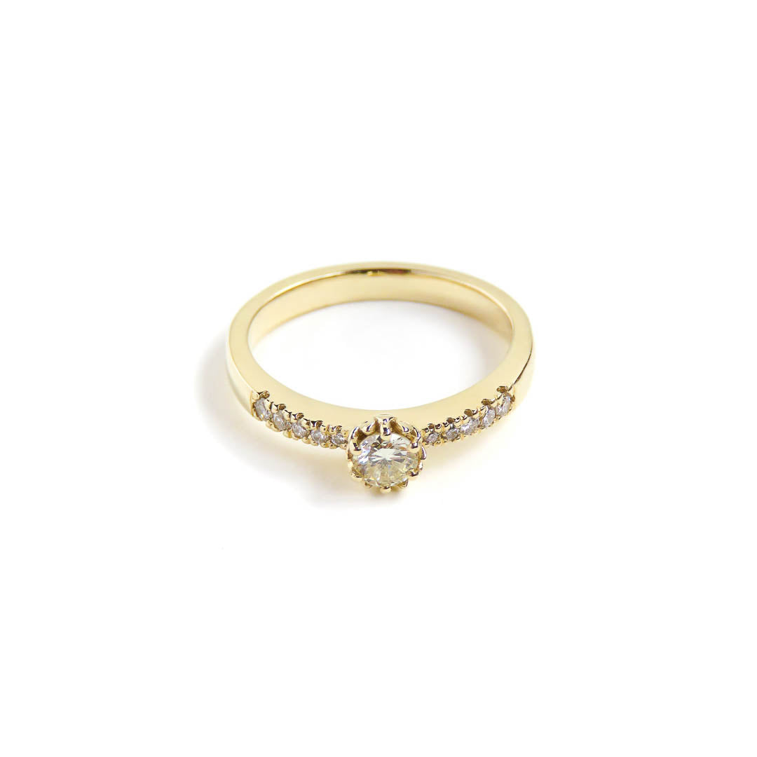 A round diamond set in Botanica's iconic Protea ring with pave diamonds - manufactured in 9ct yellow gold
