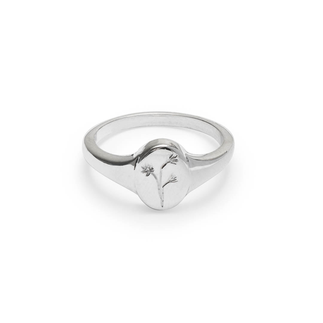 Sterling Silver Signet Ring with a hand engraved Watsonia Wildflower