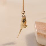 Lilac-breasted Roller Yellow Gold