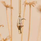 Southern double-collared Sunbird Yellow Gold